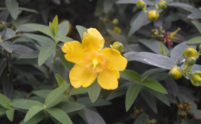 Singlemummylife on International Womens Day&nbsp;2017